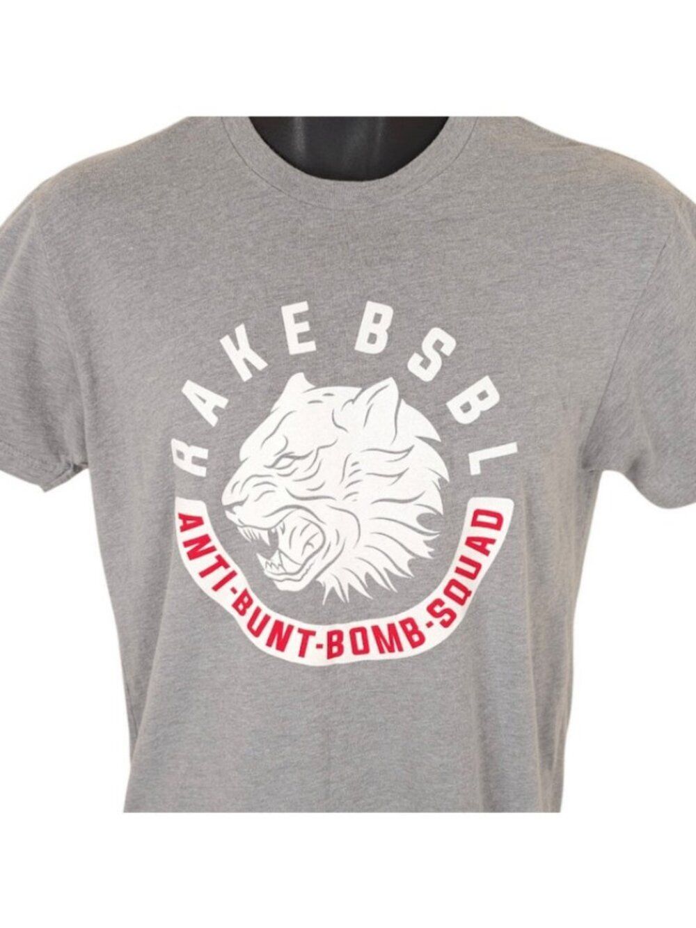 Rake Baseball T Shirt Mens Size Small Gray Anti Bunt Bomb Squad
